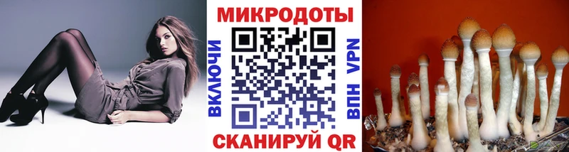 Псилоцибиновые грибы мухоморы  даркнет телеграм  Белоозёрский  гидра tor 